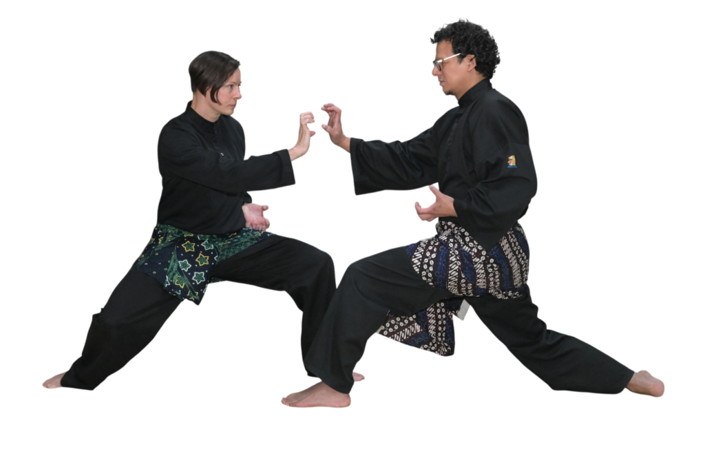 photoroom 20250109 233047