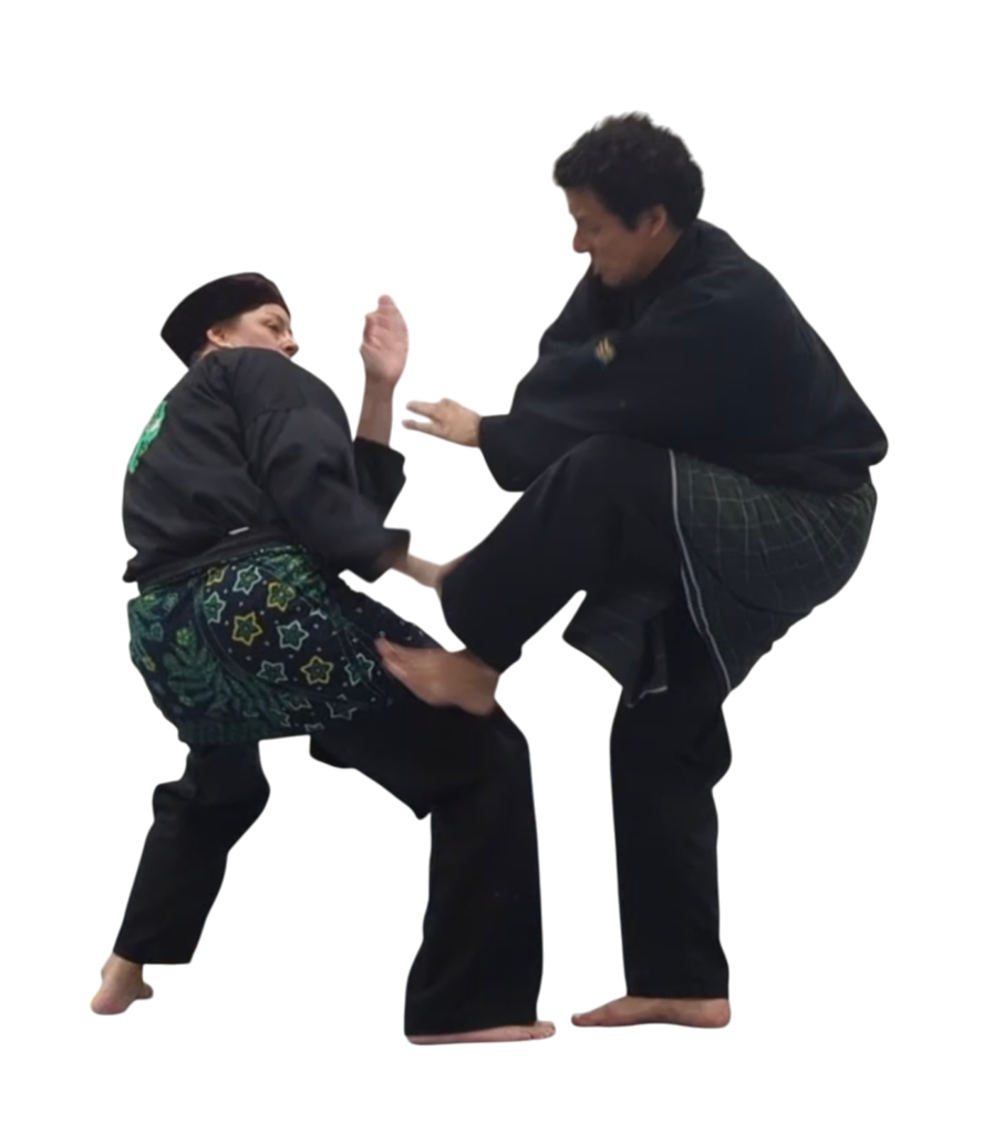 photoroom 20250126 132034