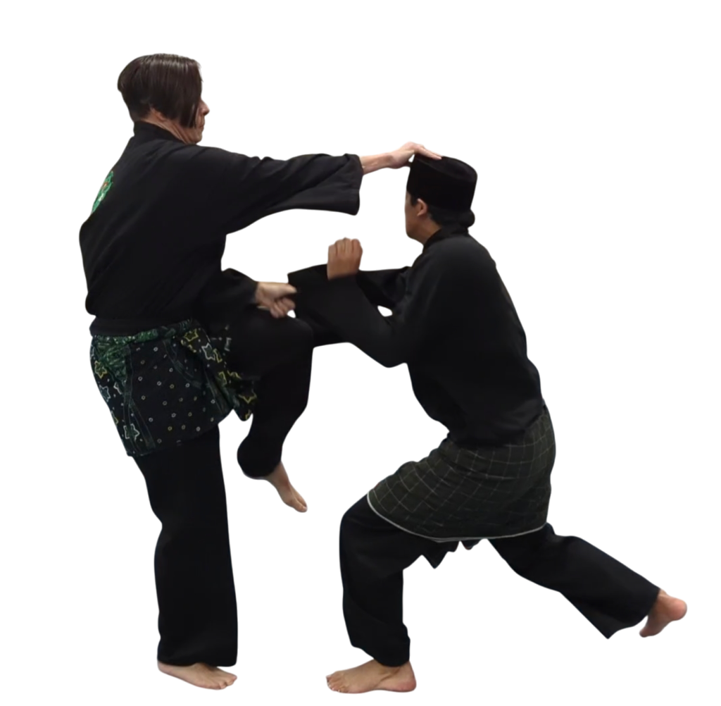 photoroom 20250126 132102