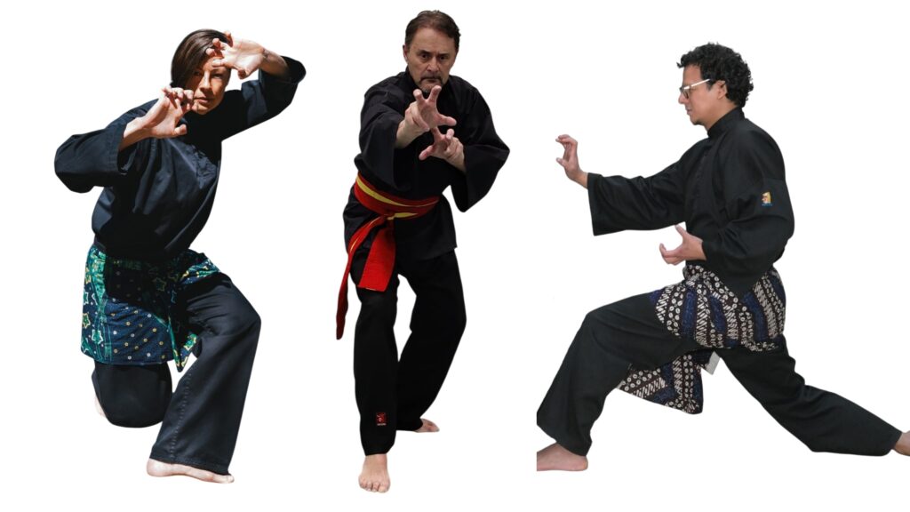 polish 20260219 152515383