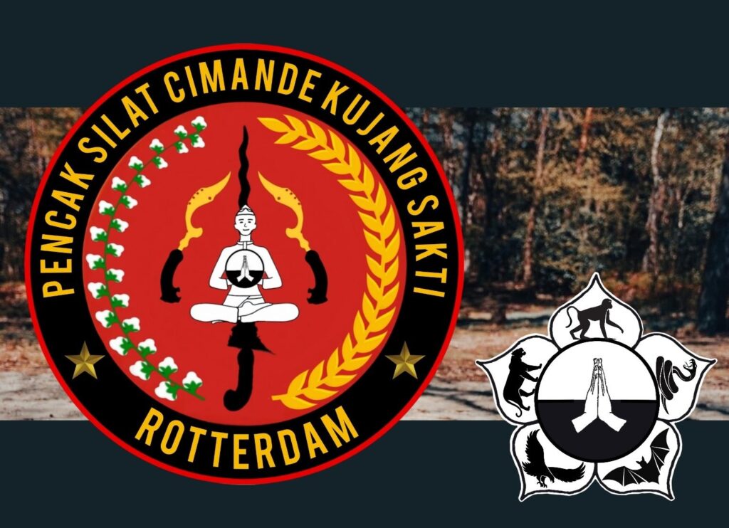 polish 20260225 154339549~2