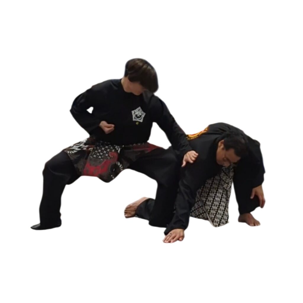 polish 20260417 154122027